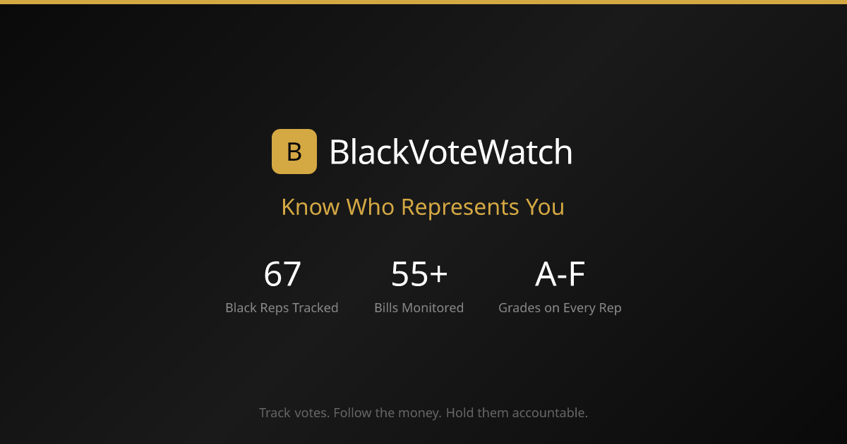 blackvotewatch.org